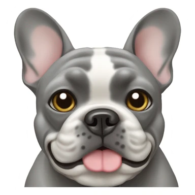 Grey French bulldog with white chest  sticker