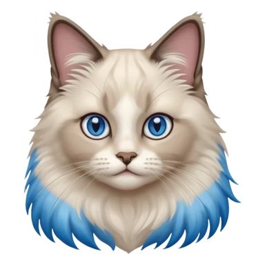 ragdoll, blue eyes, bi color sticker