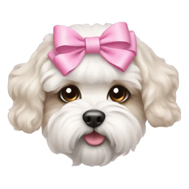 Schichon puppy pink bow sticker