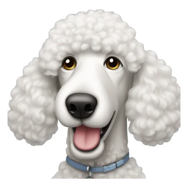 White standard poodle  sticker