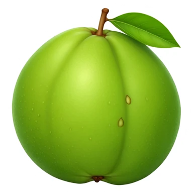 A whole green guava fruit with slight yellow tint sticker