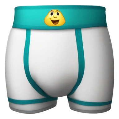 underwear boxer brief with anti chafe panels on the inside of the legs. They say "step one" on the waistband sticker