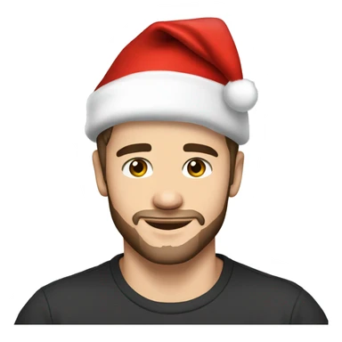 Liam Payne wearing santa hat sticker