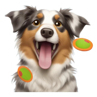 Australian shepherd with frisbee laughing sticker