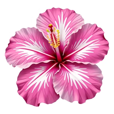 pink and white hibiscus sticker