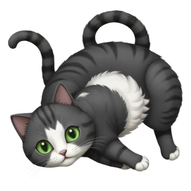 solid dark grey cat with green eyes, white toes/paws and white patch on her chest playfully rolling upside down sticker