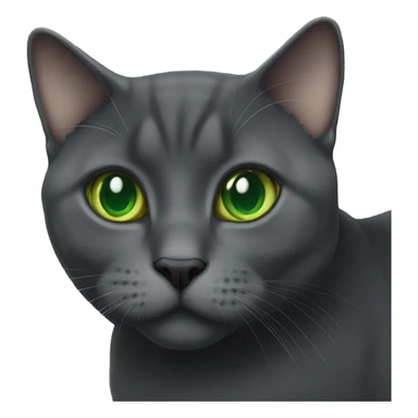 Dark grey British short hair cat with green eyes sticker