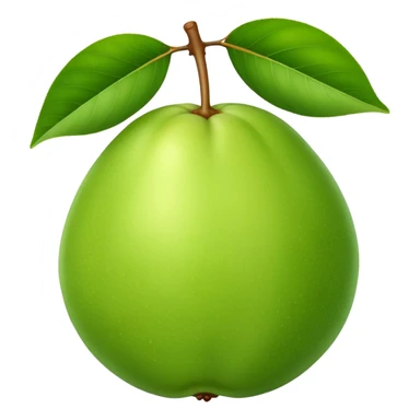 A whole green guava fruit with slight yellow tint sticker