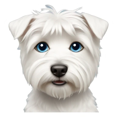 West highland white terrier with blond and blue eyes girl sticker
