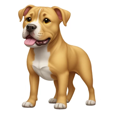 Pitbull crossed with golden retriever, full body hair.  sticker