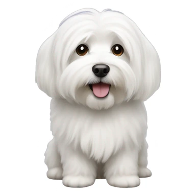 Coton de tulear sticker