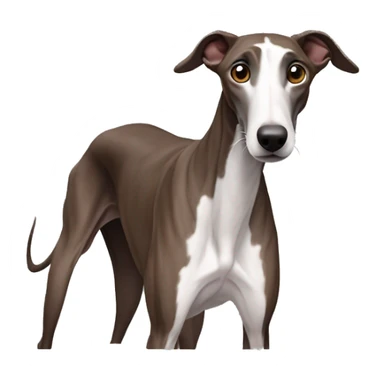 galgo marrón oscuro sin manchas blancas  sticker