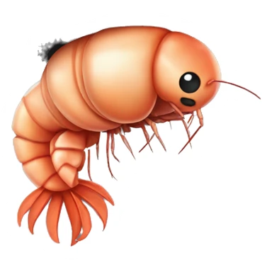shrimp wearing a hat sticker