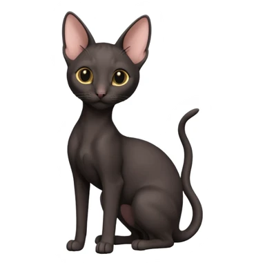 A 3D cartoon black Oriental Shorthair cat with bulky body, tall ears, Nice fur, dark cinematic background, Memoji-style. full body or half body. sticker