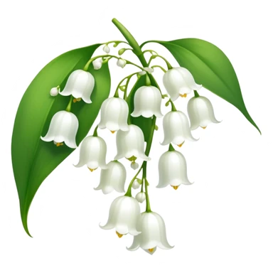 Elegant lily of the valley flower with delicate white bell-shaped blooms hanging from green stem and bright green leaves sticker