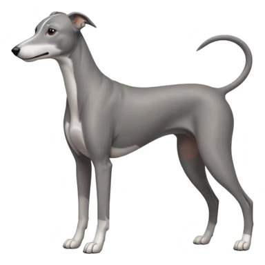 greyhound sticker
