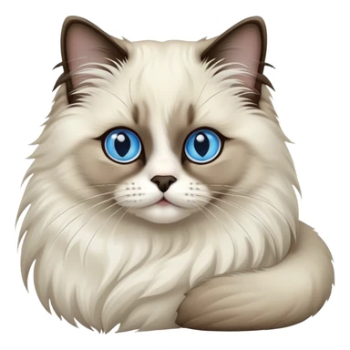 Seal point ragdoll cat sticker