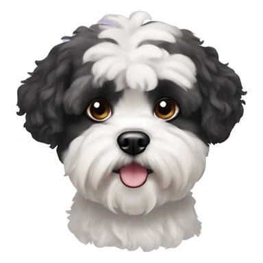 black and white shih-poo dog with white eyebrows sticker