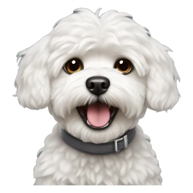 Angry white maltipoo sticker