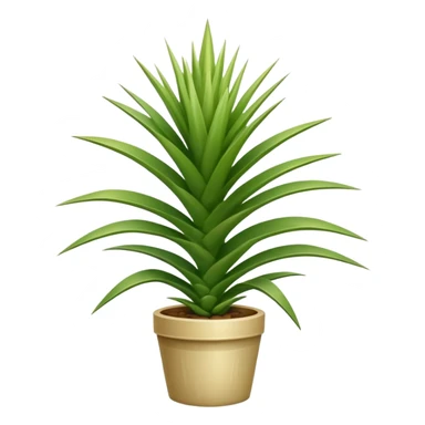 yucca plant with spiky green leaves sticker
