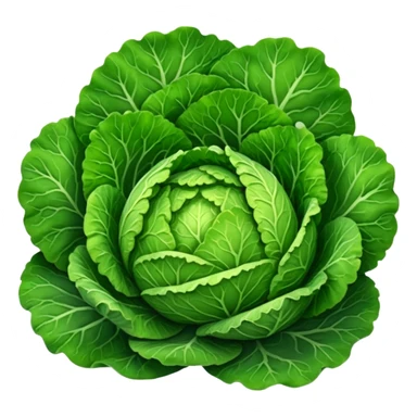 Savoy cabbage sticker