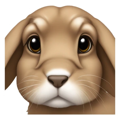 brown holland lop bunny sticker
