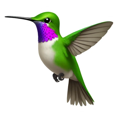 Humming bird  sticker