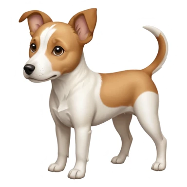 a full body facing front on of a buff white beagle cross jack russell terrier looking dog the size of a kelpie with light brown long ears resting on its face and a light brown patch above one eye and a large snout. the rest of the dog is completely white.  sticker