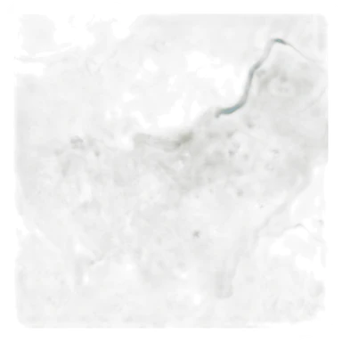 New Punjab map sticker