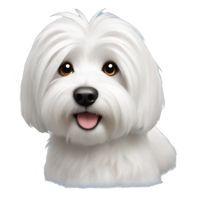 coton de tulear  sticker