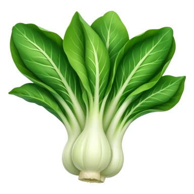 bok choy, stylized, vibrant green sticker
