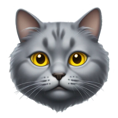 realistic fat grey fluffy cat with yellow eyes sticker