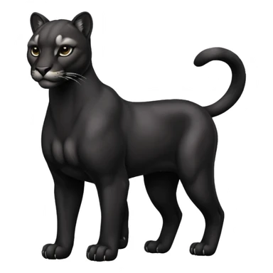 Cute black puma sticker