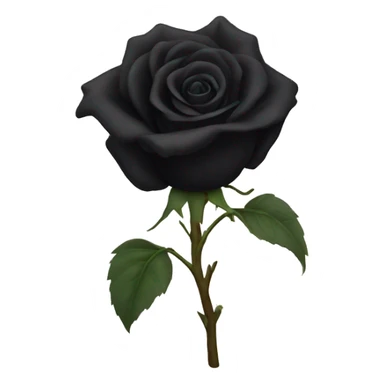 Wilted black rose sticker