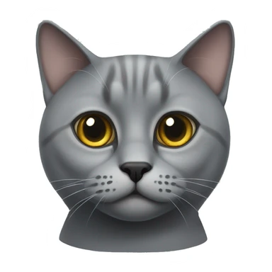 Grey British cat, with round eyes sticker