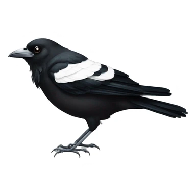 magpie sticker