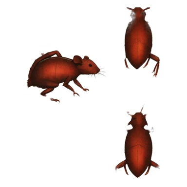 Black red gold green cyan rusty grunge effect scratched patina rat mouse scorpion tail stinger  sticker