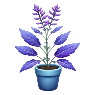 clary sage plant, purple and blue tones, no planter sticker