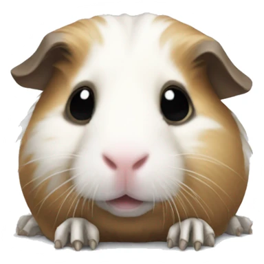 The skeleton of a guinea pig sticker