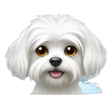 Maltese dog in a bath sticker