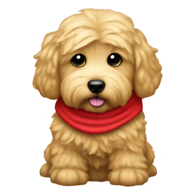 Miniature golden doodle that looks like Trump with maga hat sticker