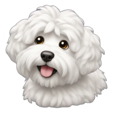 Coton de Tuléar sticker