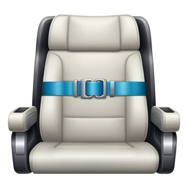 plane seat belt sticker