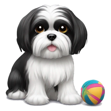 black and white maltese shihtzu with toy sticker