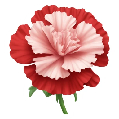 red Carnation flower sticker