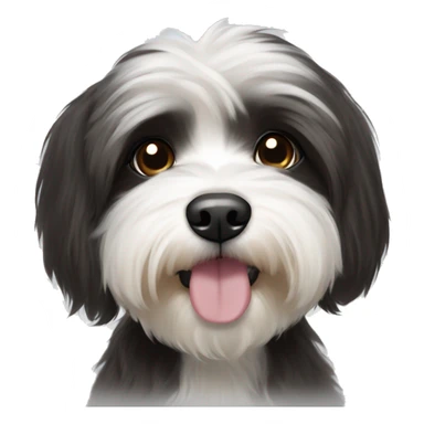 Black and white Havanese with dark brown eyes sticker