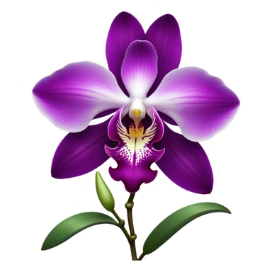 Cinematic Realistic Orchid Emoji, Exotic and elegant, with intricate, velvety petals in deep purple and white, forming a delicate and symmetrical blossom. The slender green stem holds the flower high, while surrounding leaves add lush contrast. Soft glowing outline, capturing the essence of rare beauty and sophistication in a captivating orchid. sticker