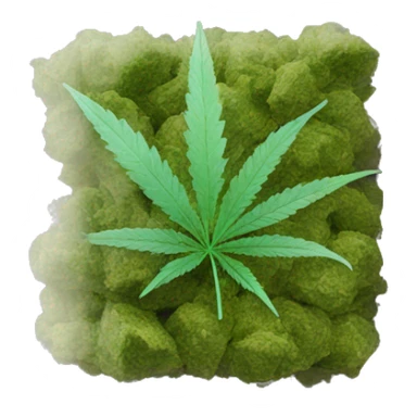 transparent ziplock bag with sativa strain inside sticker