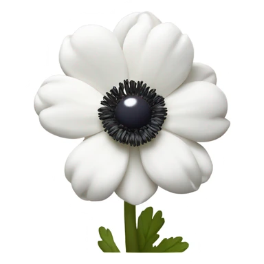 white anemone flower with dark center sticker