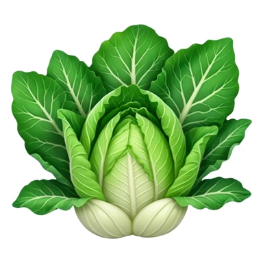 chinese cabbage sticker
